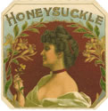 HONEYSUCKLE