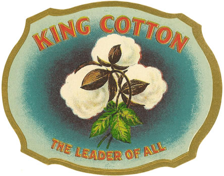 cotton king stain free shirts
