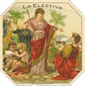 LA ELECTIVA