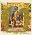 LA FLOR DE VICTOR