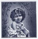 LITTLE ROSE