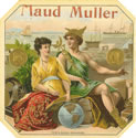 MAUD MULLER