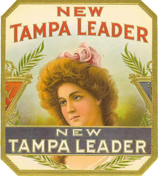 NEW TAMPA LEADER