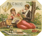 PICNIC