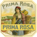 PRIMA ROSA