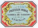 PROFESOR MORSE