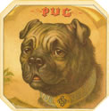 PUG