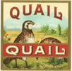 QUAIL