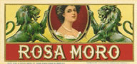 ROSA MORO