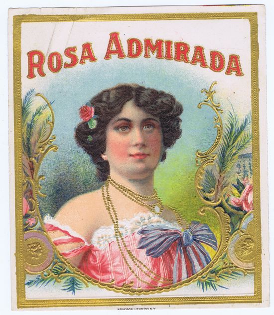 ROSA ADMIRADA