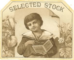 SELECTED STOCK