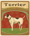 TERRIER