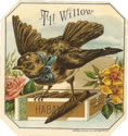 TIT WILLOW