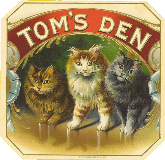 TOM'S DEN