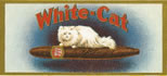 WHITE-CAT