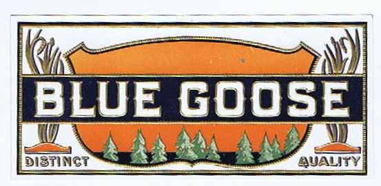 BLUE GOOSE