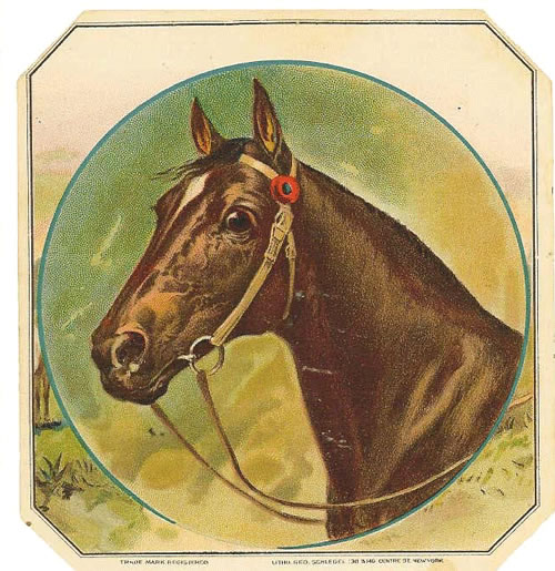 horse head Schlegel Litho