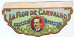 LA FLOR DE CARVALHO