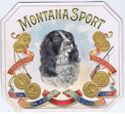 MONTANA SPORT