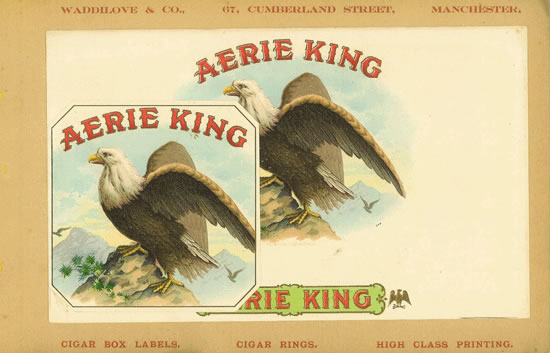 AERIE KING (2)