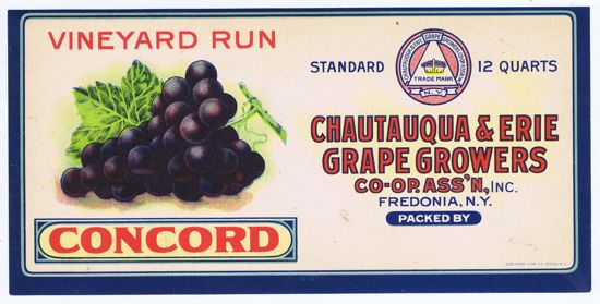 VINEYARD RUN CONCORD GRAPES