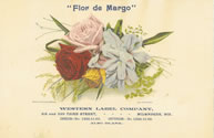 FLOR DE MARGO