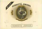 HENRIETTA JUNIORS