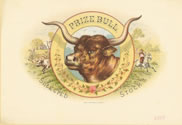 PRIZE BULL