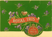 ROYAL IRIS