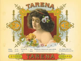 TARENA