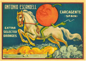 ANTONIO ESCANDELL