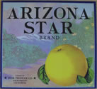 ARIZONA STAR