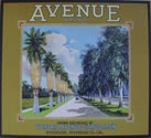 AVENUE