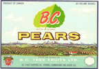 B.C. Pears