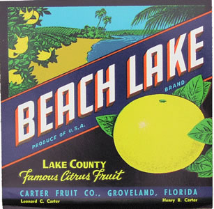BEACH LAKE
