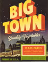 BIG TOWN