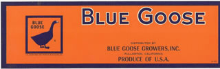 BLUE GOOSE