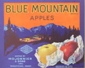 BLUE MOUNTAIN