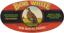 BOB WHITE