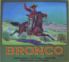 BRONCO