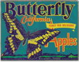 BUTTERFLY