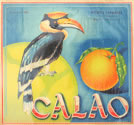 CALAO