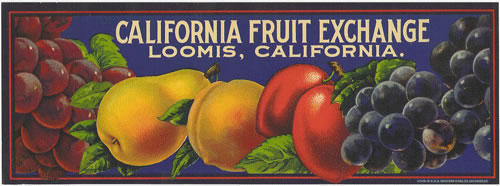 CALIFORNIA FRUIT EXCHANGE