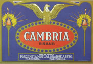 CAMBRIA