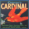 CARDINAL