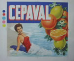 CEPAVAL