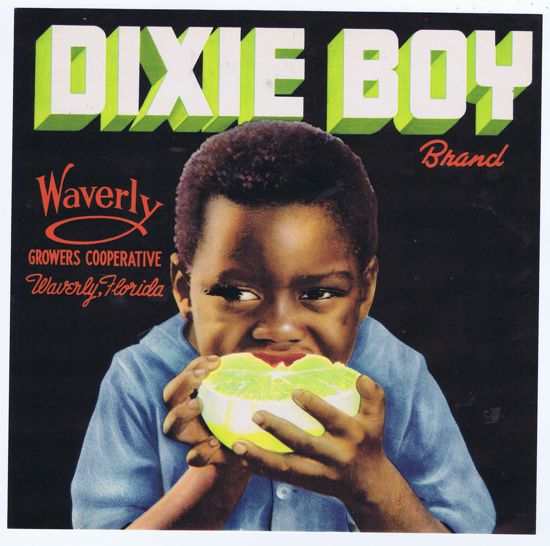 DIXIE BOY