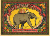 ELEPHANT BRAND