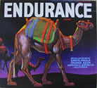 ENDURANCE