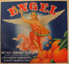 ENGEL